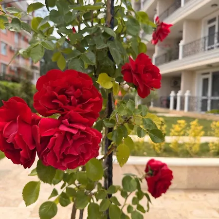 Apartamento Magnolia Coast *
